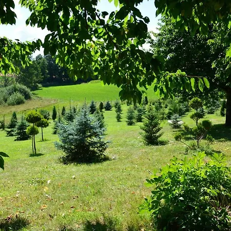 Gesia Sielanka Olecko