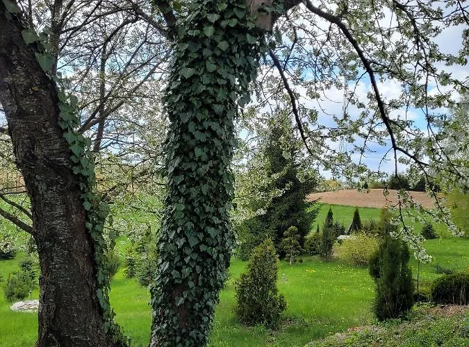 Gesia Sielanka Дом отдыха