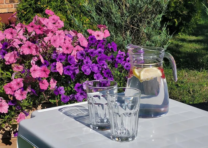 Gesia Sielanka Дом отдыха Олецко